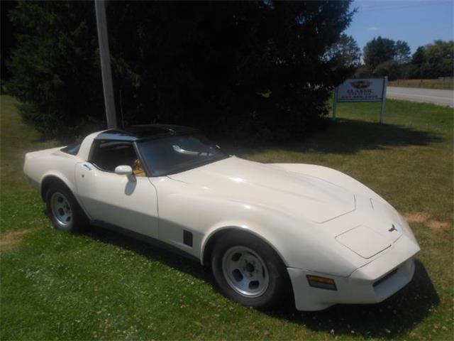 1981 Chevrolet Corvette (CC-925742) for sale in Cadillac, Michigan