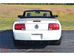 2009 Ford Mustang Shelby GT 500 Convertible (CC-926116) for sale in Whiteland, Indiana
