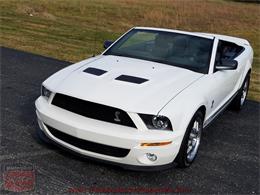 2009 Ford Mustang Shelby GT 500 Convertible (CC-926116) for sale in Whiteland, Indiana