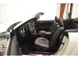 2009 Ford Mustang Shelby GT 500 Convertible (CC-926116) for sale in Whiteland, Indiana