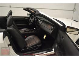 2009 Ford Mustang Shelby GT 500 Convertible (CC-926116) for sale in Whiteland, Indiana