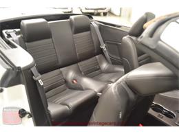 2009 Ford Mustang Shelby GT 500 Convertible (CC-926116) for sale in Whiteland, Indiana
