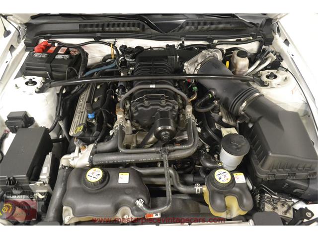 2009 Ford Mustang Shelby GT 500 Convertible (CC-926116) for sale in Whiteland, Indiana