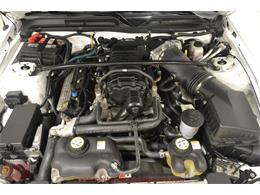 2009 Ford Mustang Shelby GT 500 Convertible (CC-926116) for sale in Whiteland, Indiana