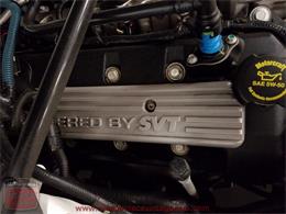 2009 Ford Mustang Shelby GT 500 Convertible (CC-926116) for sale in Whiteland, Indiana