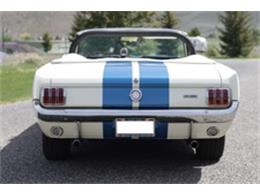 1966 Shelby GT350 Paxton (CC-926709) for sale in Scottsdale, Arizona