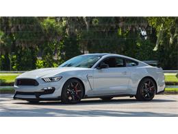 2016 Ford Shelby GT350R (CC-927820) for sale in Kissimmee, Florida