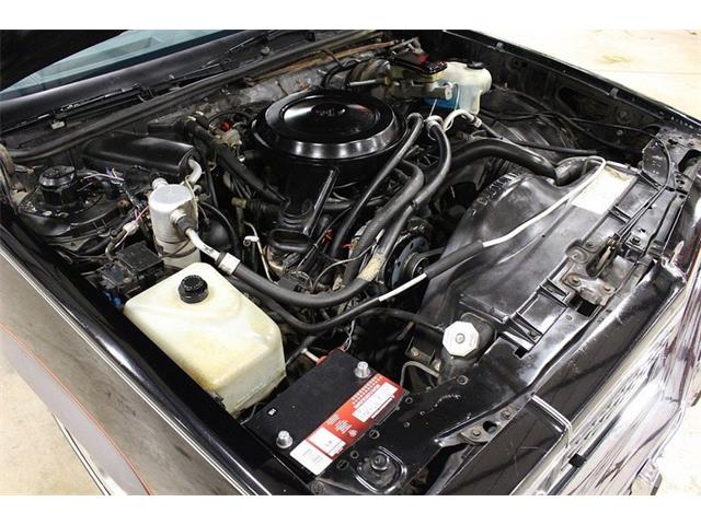 1986 Chevrolet El Camino (CC-928469) for sale in Kentwood, Michigan