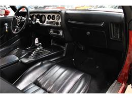 1980 Pontiac Firebird Formula (CC-928476) for sale in Kentwood, Michigan