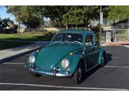 1964 Volkswagen Beetle (CC-928783) for sale in San Luis Obispo, California