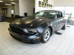 2014 Ford Mustang (CC-931758) for sale in Scottsdale, Arizona