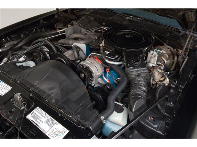 1980 Pontiac Firebird Trans Am (CC-931816) for sale in Scottsdale, Arizona