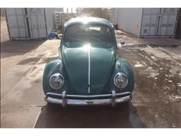 1964 Volkswagen Beetle (CC-933219) for sale in Scottsdale, Arizona