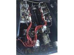 1983 Lamborghini Countach (CC-933933) for sale in No city, No state