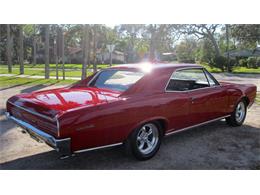 1966 Pontiac GTO (CC-934245) for sale in Kissimmee, Florida