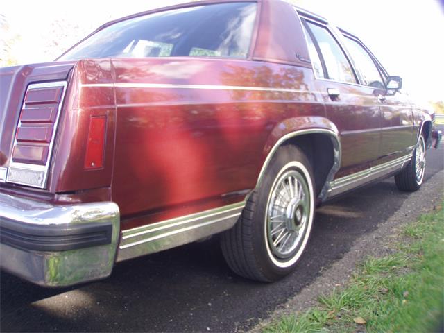 1986 Ford Crown Victoria (CC-934504) for sale in Hamburg, New York
