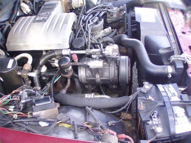 1986 Ford Crown Victoria (CC-934504) for sale in Hamburg, New York