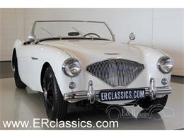 1955 Austin-Healey 100-4 (CC-934947) for sale in Waalwijk, Netherlands