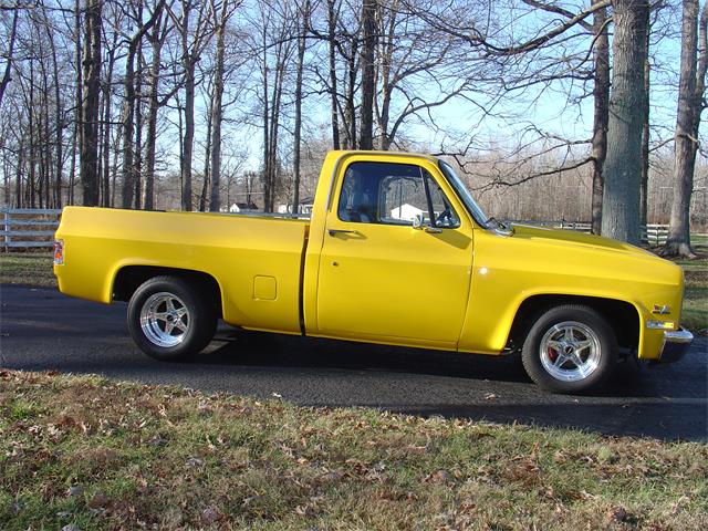 1981 Chevrolet C/K 1500 (CC-936443) for sale in SCIPIO, Indiana