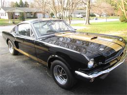 1966 Shelby GT350 (CC-937723) for sale in Dover, Delaware