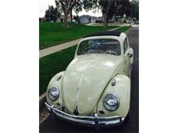 1963 Volkswagen Beetle (CC-938582) for sale in Scottsdale, Arizona