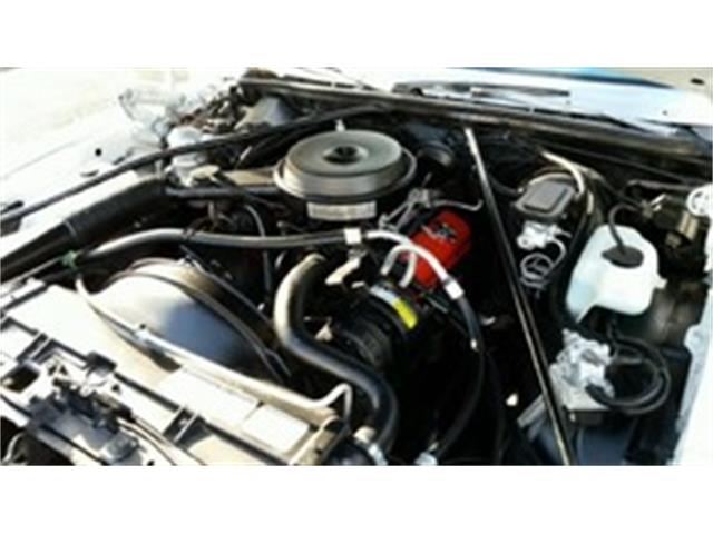 1979 Chevrolet Monte Carlo (CC-930009) for sale in Scottsdale, Arizona