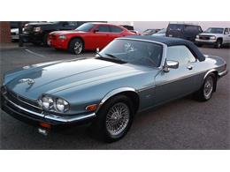 1989 Jaguar XJS (CC-930909) for sale in Kissimmee, Florida