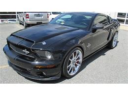 2008 Ford Shelby GT500 Super Snake (CC-930925) for sale in Kissimmee, Florida