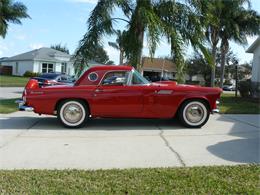 1956 Ford Thunderbird (CC-939349) for sale in Malabar, Florida