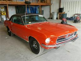 1967 Ford Mustang (CC-941015) for sale in Online, No state