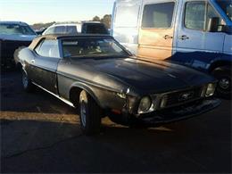 1973 Ford Mustang (CC-941338) for sale in Online, No state