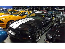 2007 Shelby GT (CC-942671) for sale in Windsor, California