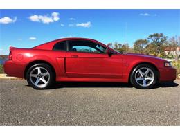 2003 Ford MUSTANG  SVT COBRA (CC-942820) for sale in Atlantic City, New Jersey