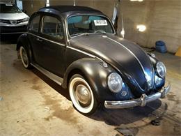 1964 Volkswagen Beetle (CC-943483) for sale in Online, No state