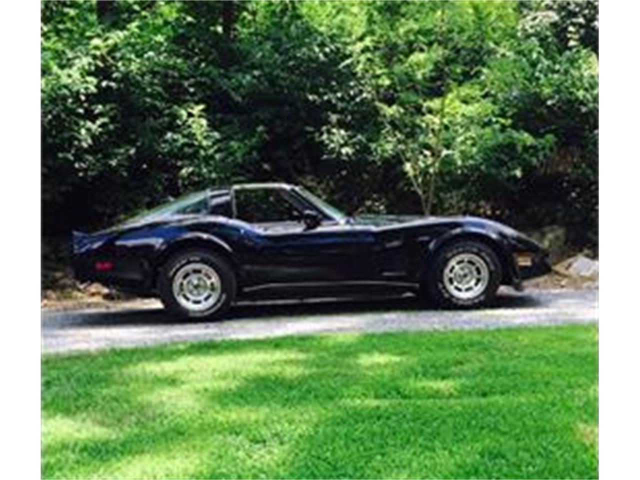 1981 Chevrolet Corvette Stingray for Sale CC943812