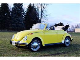 1971 Volkswagen Beetle (CC-944102) for sale in Watertown , Minnesota