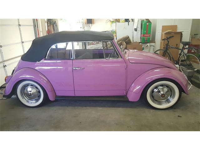 1965 Volkswagen Beetle (CC-944242) for sale in Palm Springs, California