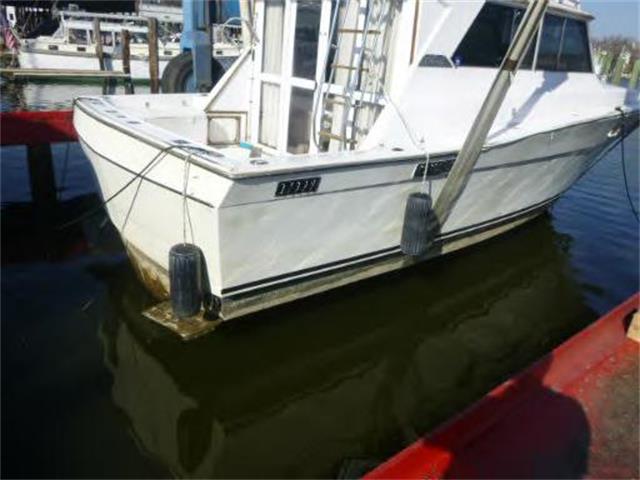 1973 VIKI MARINE LOT (CC-944590) for sale in Online, No state