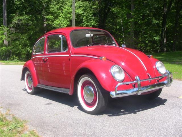 1966 Volkswagen Beetle (CC-944937) for sale in Cornelius, North Carolina