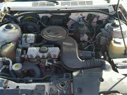 1987 Pontiac Sunbird (CC-945866) for sale in Online, No state