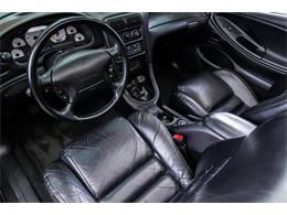 1998 Ford Mustang SVT Cobra Convertible (CC-947197) for sale in Plymouth, Michigan
