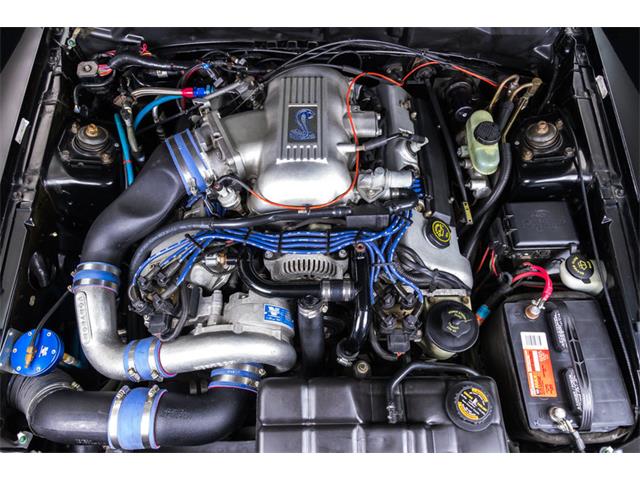 1998 Ford Mustang SVT Cobra Convertible (CC-947197) for sale in Plymouth, Michigan