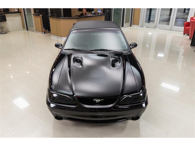 1998 Ford Mustang SVT Cobra Convertible (CC-947197) for sale in Plymouth, Michigan