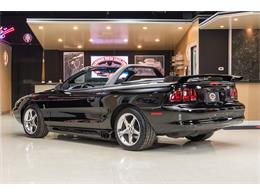 1998 Ford Mustang SVT Cobra Convertible (CC-947197) for sale in Plymouth, Michigan