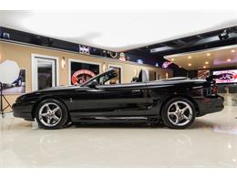 1998 Ford Mustang SVT Cobra Convertible (CC-947197) for sale in Plymouth, Michigan