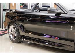 1998 Ford Mustang SVT Cobra Convertible (CC-947197) for sale in Plymouth, Michigan