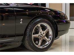 1998 Ford Mustang SVT Cobra Convertible (CC-947197) for sale in Plymouth, Michigan