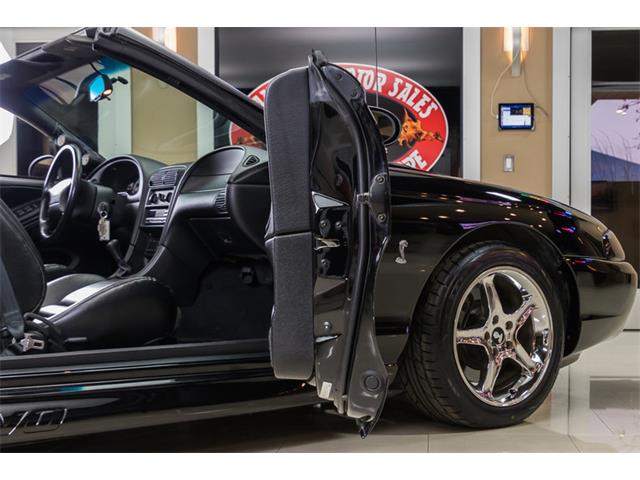 1998 Ford Mustang SVT Cobra Convertible (CC-947197) for sale in Plymouth, Michigan