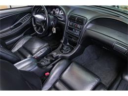 1998 Ford Mustang SVT Cobra Convertible (CC-947197) for sale in Plymouth, Michigan