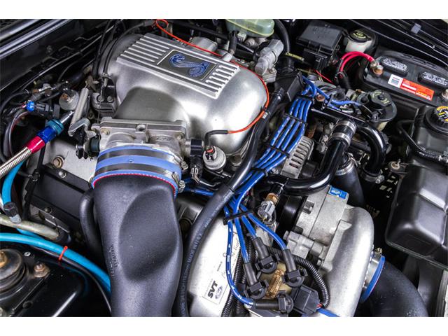 1998 Ford Mustang SVT Cobra Convertible (CC-947197) for sale in Plymouth, Michigan